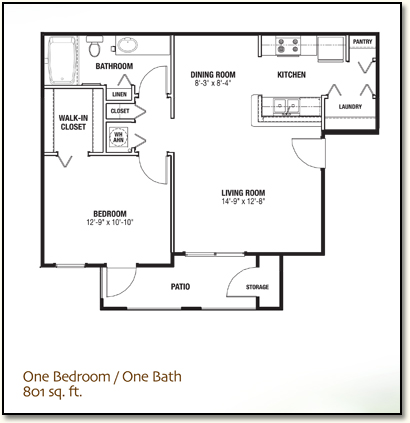 1 bedroom, 1 bath apartment, 801 square feet