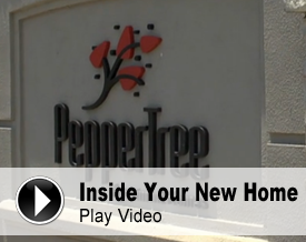 Watch Our Video