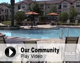Watch Our Video